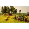 07461 - Noch - Hay Bales (36)