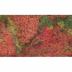 JBULKMC Javis - Lichen Bulk Pack - Mixed Colour