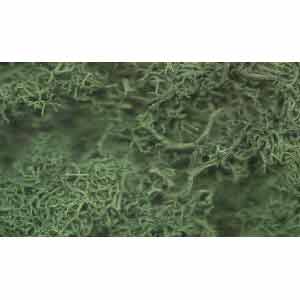 JDGLS Javis - Lichen - Dark Green
