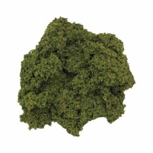 Javis - No.2 - Hedge Foliage - Medium Green