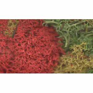 JMCLS Javis - Lichen - Multi Colour